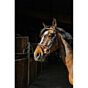 Norton Pro Trenshoofdstel Wellington Leer Havane