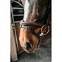 Norton Pro Trenshoofdstel Wellington Leer Havane