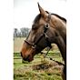 Norton Grooming Halster Spring Leer Havane