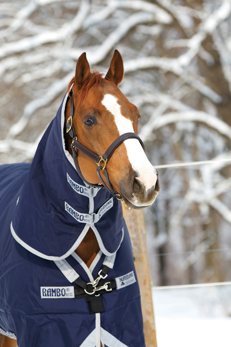 Simpele deken‑keuzehulp: welke dikte qua deken heeft je paard nodig?