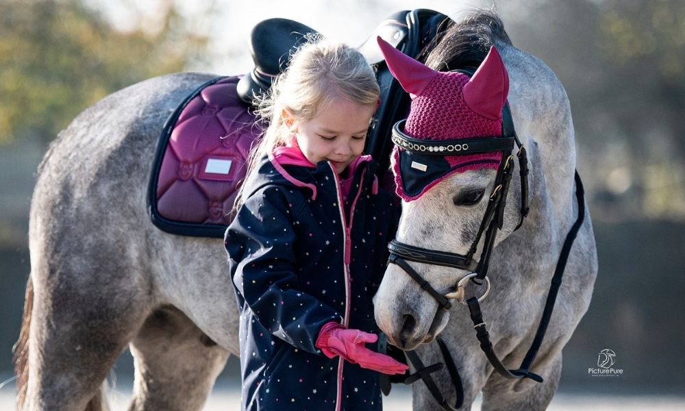 Equestrian Stockholm - Faded Fuchsia