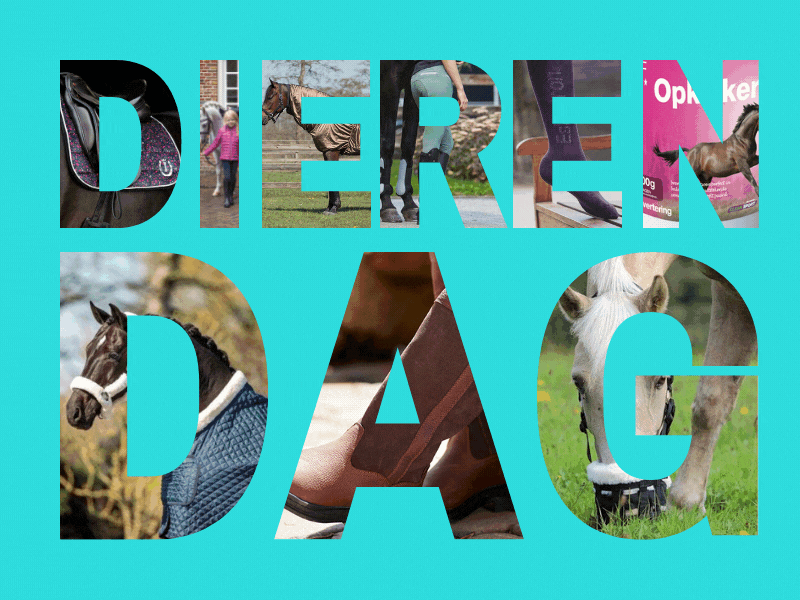 Dierendag DEALS
