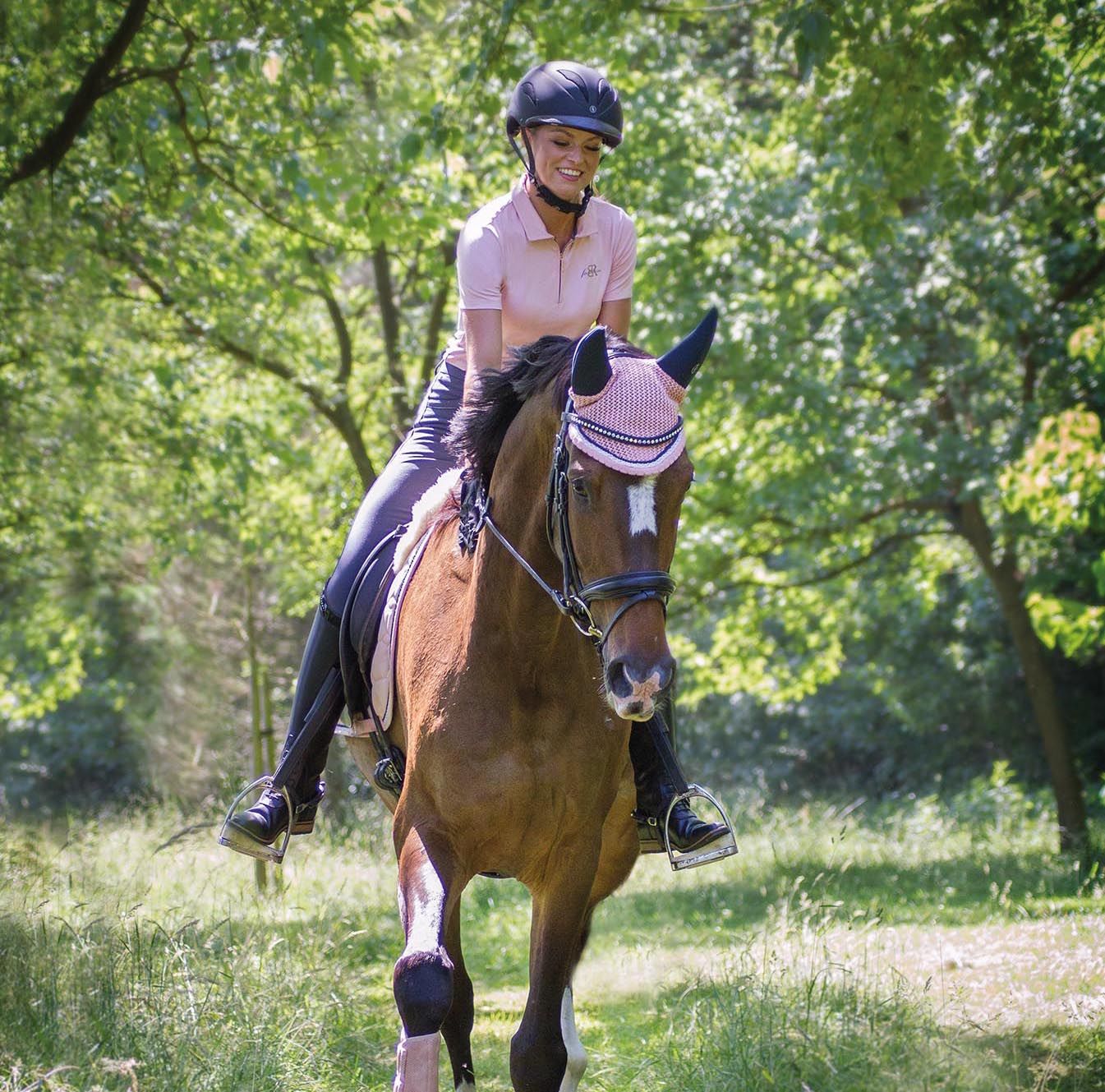 16 willekeurige feiten over paarden die handig zijn om te weten