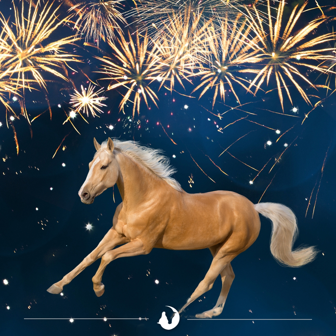 Tips om je paard rustig te houden tijdens Oud& Nieuw!