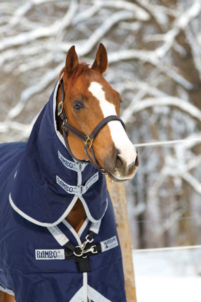 Simpele deken‑keuzehulp: welke dikte qua deken heeft je paard nodig?