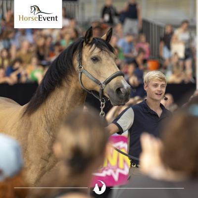 Wij staan op Horse Event 2024!