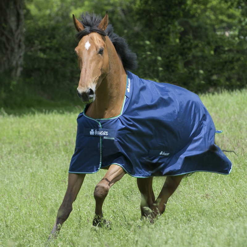 Blog: Dilemma! Welke winterdeken leg je op je paard/pony en wanneer?